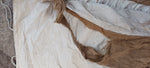 White Icelandic Tent