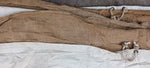 White Icelandic Tent